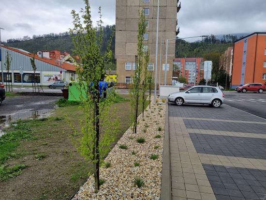 Stromoradie oddeľuje parkovisko od bytového domu.